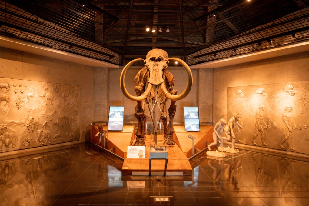 🏛️ 이와주쿠 박물관(미도리시 이와주쿠 하쿠부츠칸) 이미지 6